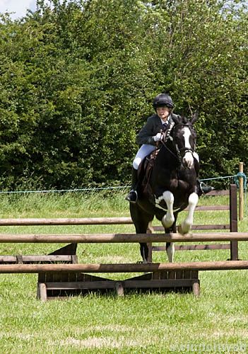 Wanborough Horse and Dog show
